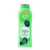 Tulipan negro original gel baño