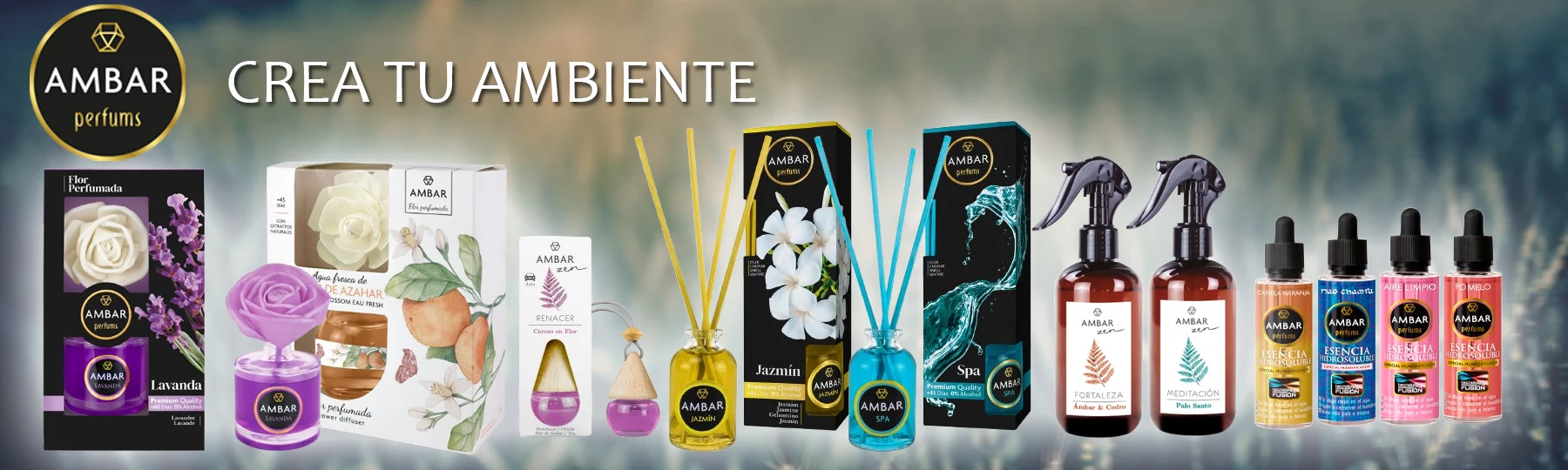 Ambar variedad productos